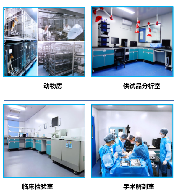 beat·365(中国)唯一官方网站