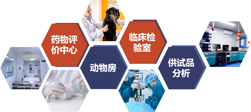 beat¡¤365(Öйú)Ψһ¹Ù·½ÍøÕ¾