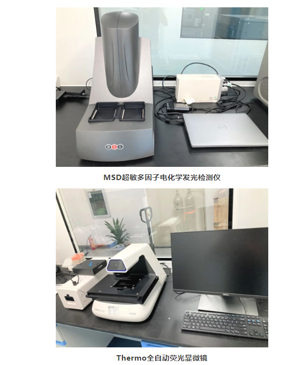 beat��365(�й�)Ψһ�ٷ���վ