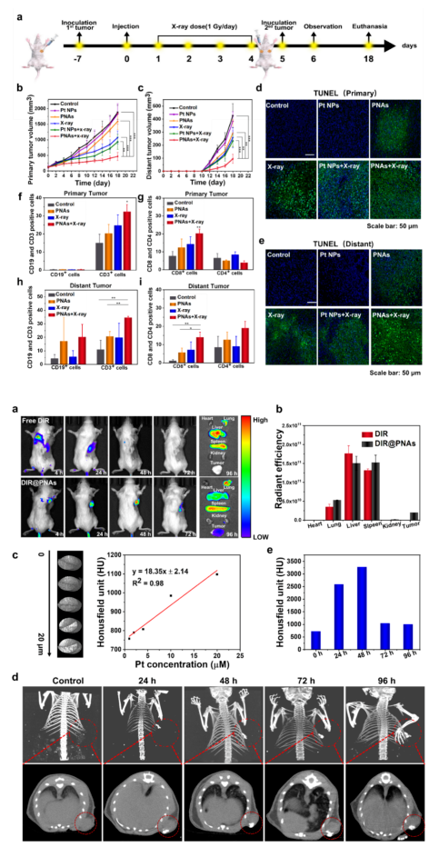 beat��365(�й�)Ψһ�ٷ���վ