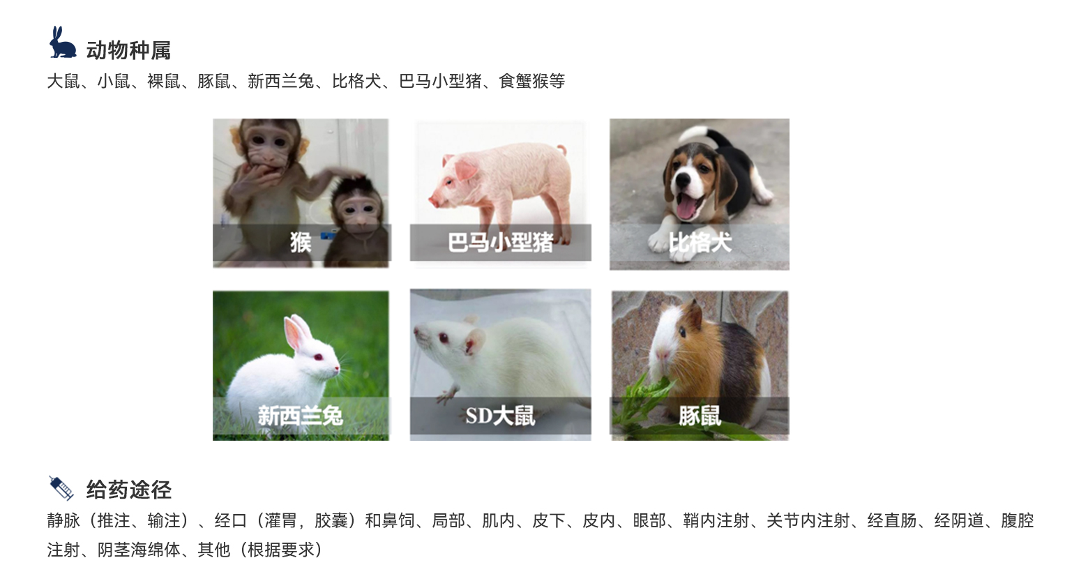 beat��365(�й�)Ψһ�ٷ���վ