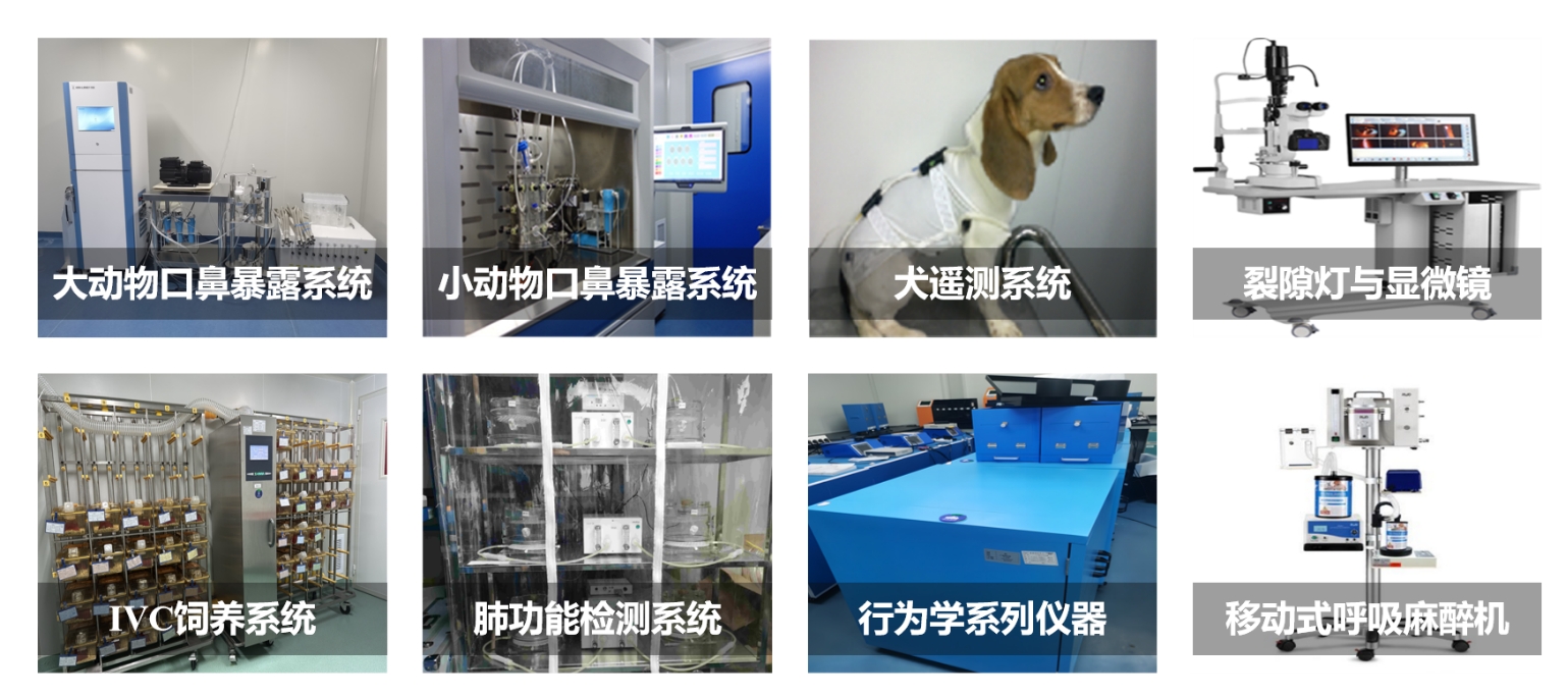 beat��365(�й�)Ψһ�ٷ���վ