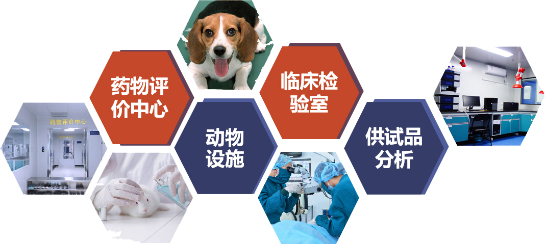 beat·365(中国)唯一官方网站