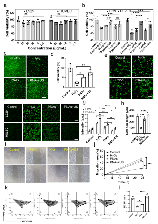 beat��365(�й�)Ψһ�ٷ���վ