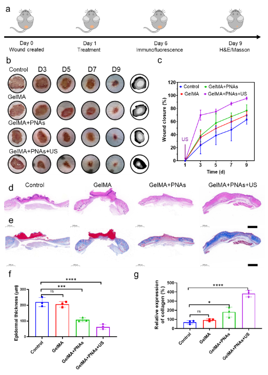 beat��365(�й�)Ψһ�ٷ���վ