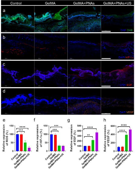 beat��365(�й�)Ψһ�ٷ���վ