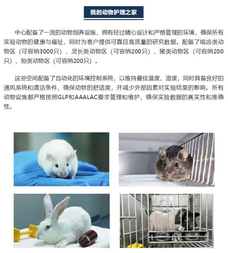 beat��365(�й�)Ψһ�ٷ���վ