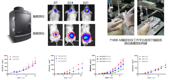 beat��365(�й�)Ψһ�ٷ���վ