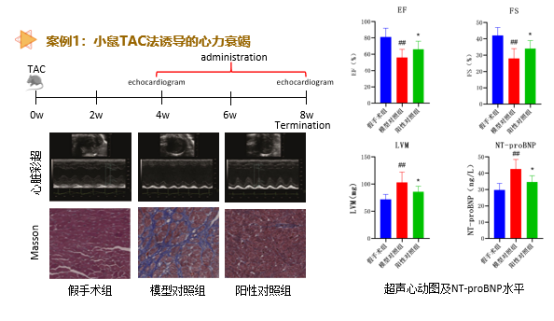 beat��365(�й�)Ψһ�ٷ���վ