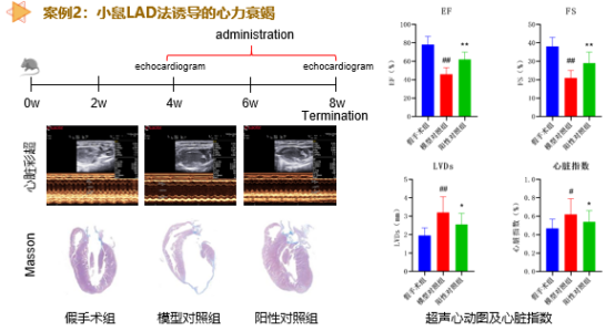beat��365(�й�)Ψһ�ٷ���վ