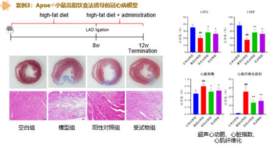 beat��365(�й�)Ψһ�ٷ���վ