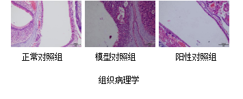 beat��365(�й�)Ψһ�ٷ���վ