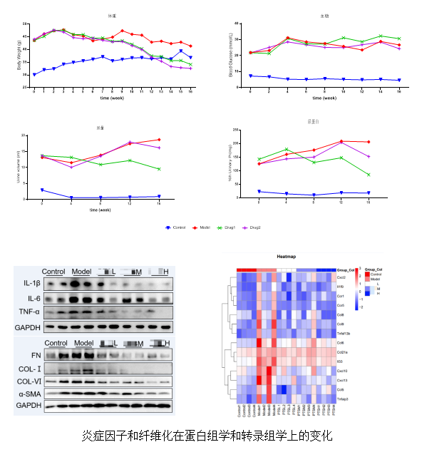 beat��365(�й�)Ψһ�ٷ���վ