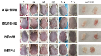 beat��365(�й�)Ψһ�ٷ���վ