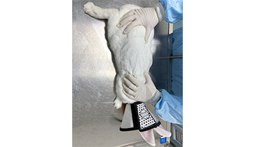 ��Ƥ��ҩ����